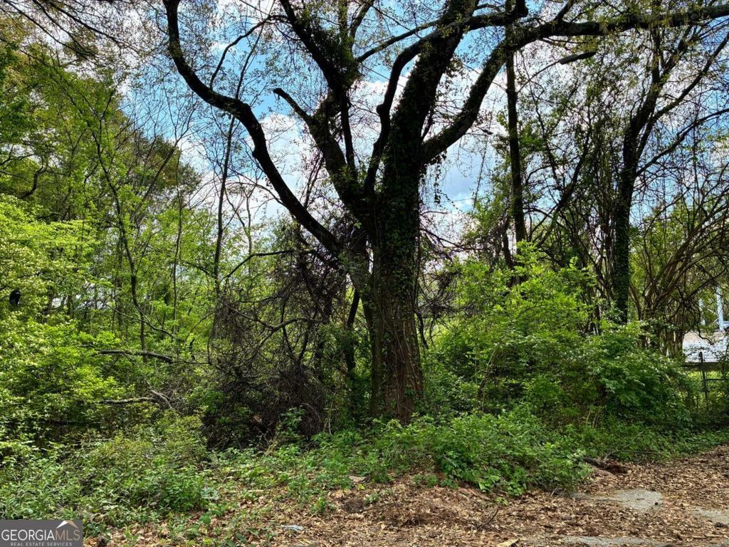 420 Pickfair Avenue SW, Atlanta, GA 30315