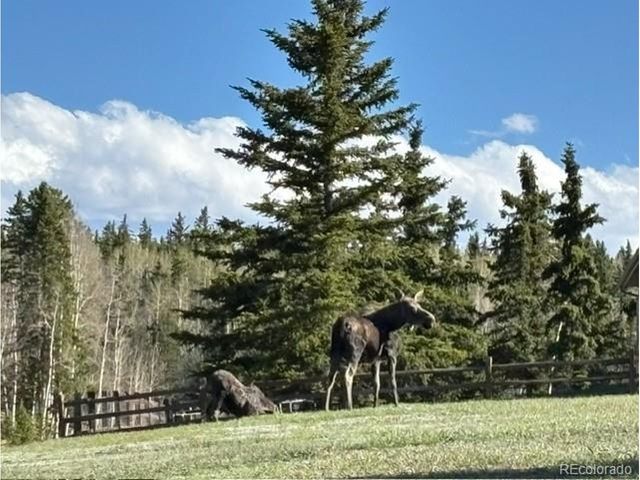 689 Divide South, Divide, CO 80814