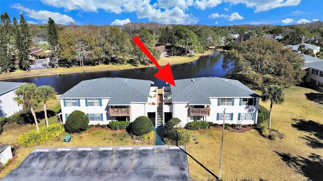 129 CAMPHOR CIRCLE C, Oldsmar, FL 34677