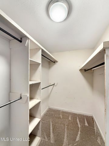 214 Chinkapen Drive, Brandon, MS 39047