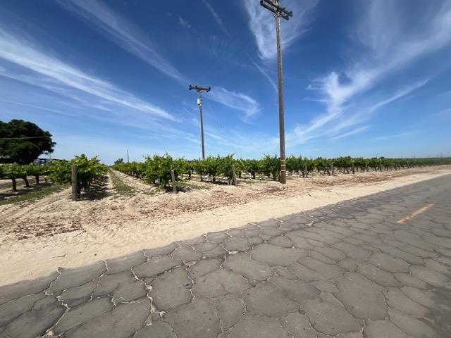 6195 W Springfield N, Raisin City, CA 93706