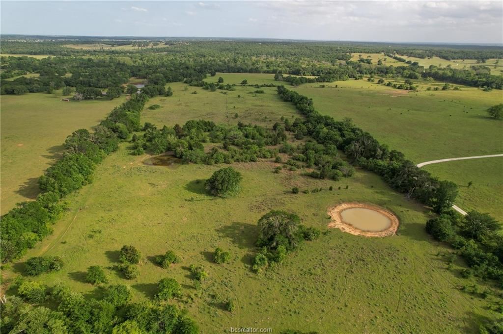 9525 S Hickory Loop County Road, Calvert, TX 77837 — exterior