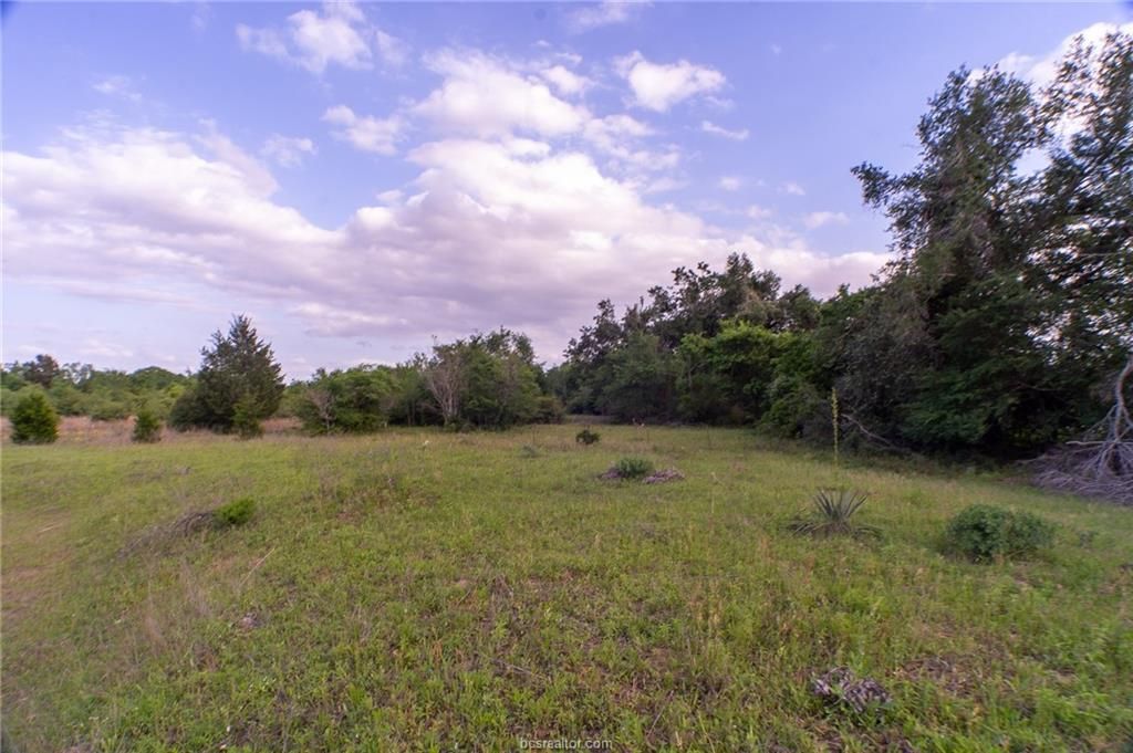 9525 S Hickory Loop County Road, Calvert, TX 77837 — photo 3