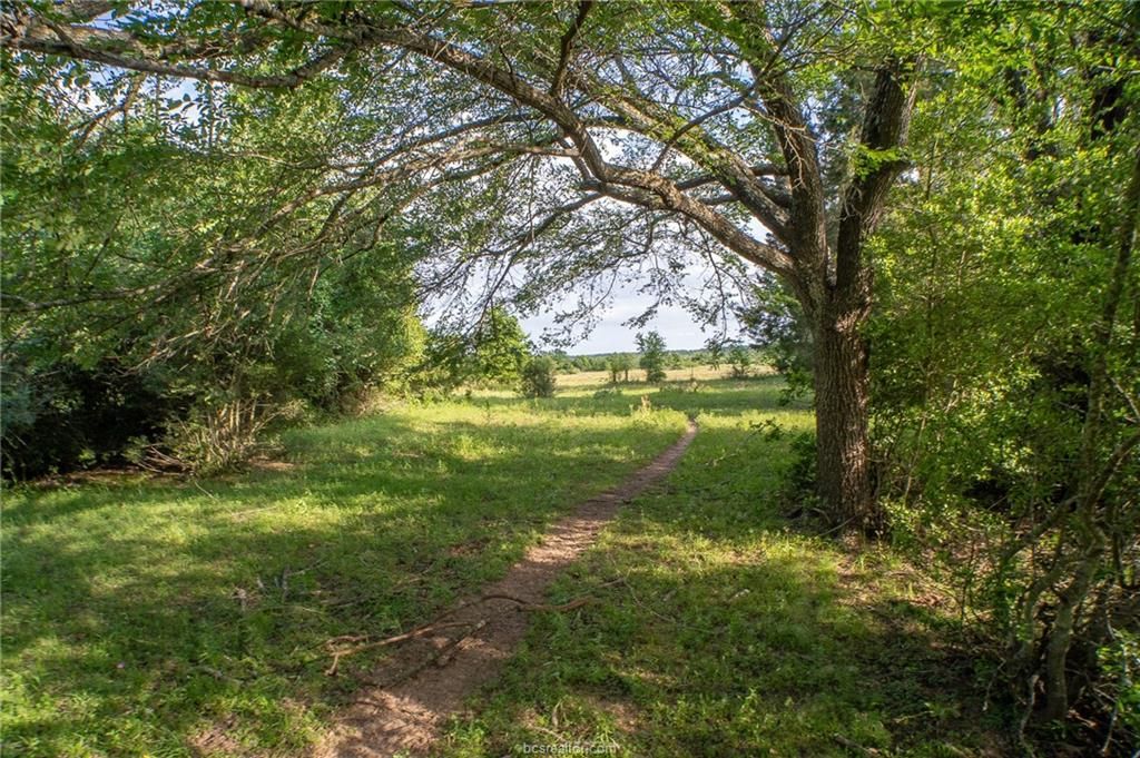 9525 S Hickory Loop County Road, Calvert, TX 77837 — photo 4