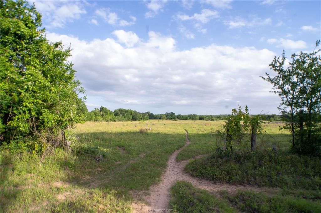 9525 S Hickory Loop County Road, Calvert, TX 77837 — photo 5