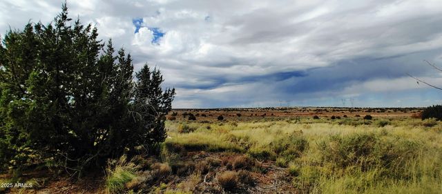 5214 SOUR DOUGH Road, Snowflake, AZ 85937