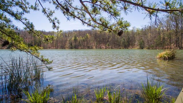 101 Chestnut Hollow Trail, Mcminnville, TN 37110