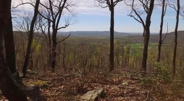 101 Chestnut Hollow Trail, Mcminnville, TN 37110