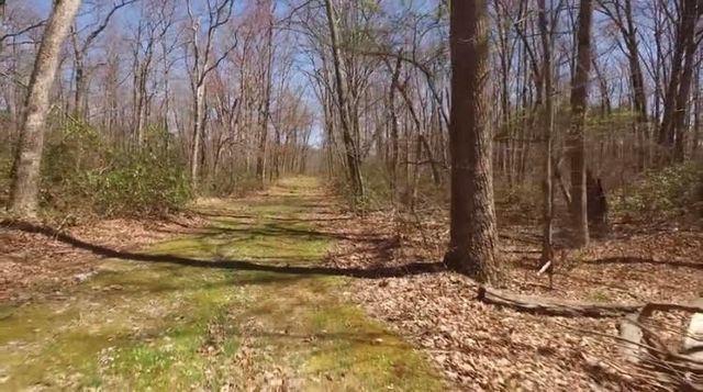 101 Chestnut Hollow Trail, Mcminnville, TN 37110