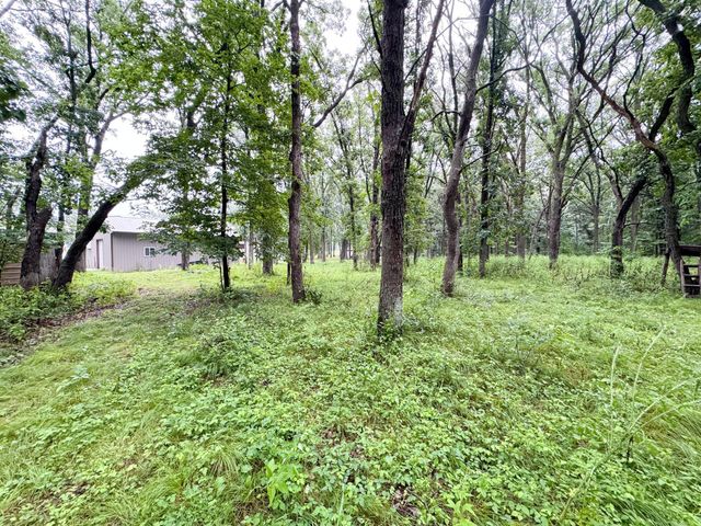 40112 244th Street, Battle Lake, MN 56515