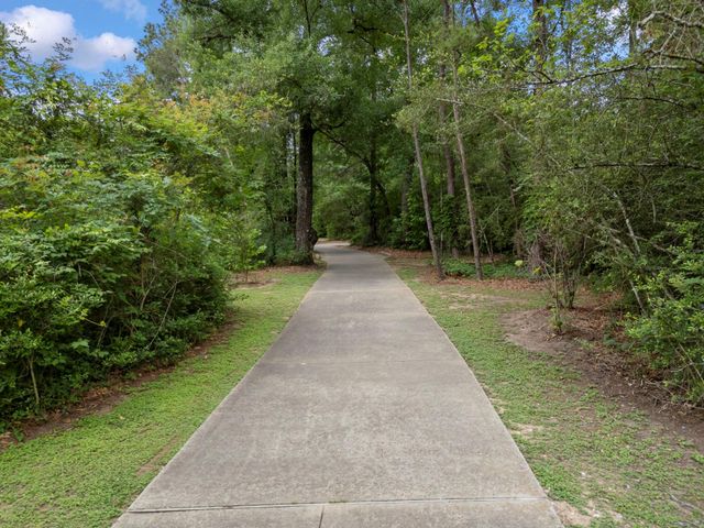 70 Amberglow Court, The Woodlands, TX 77381
