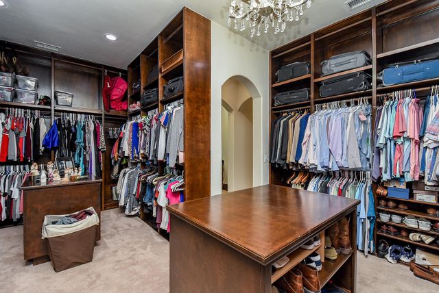 10 Player Pond Place, The Woodlands, TX 77382