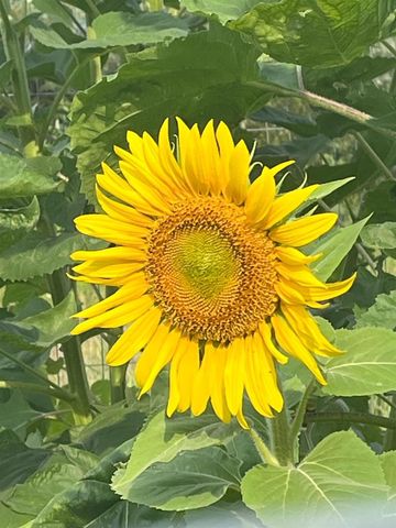 W5598 COUNTY ROAD K, Amberg, WI 54102