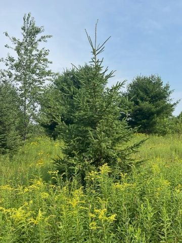 W5598 COUNTY ROAD K, Amberg, WI 54102