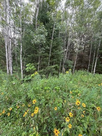 W5598 COUNTY ROAD K, Amberg, WI 54102