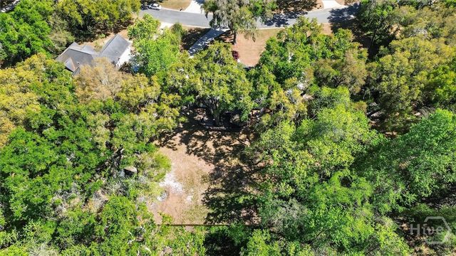 401 Laurenburg Drive, Richmond Hill, GA 31324