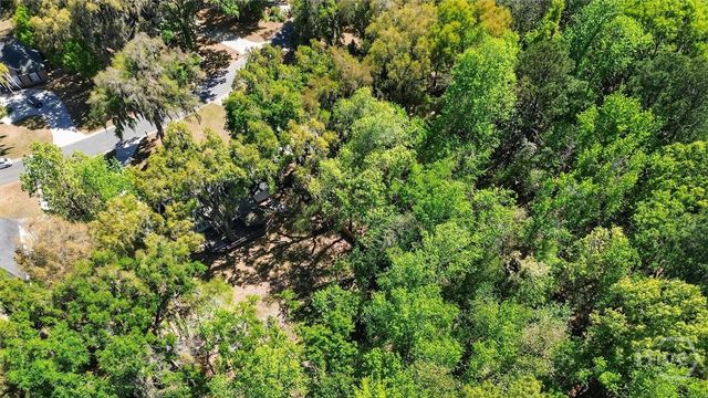 401 Laurenburg Drive, Richmond Hill, GA 31324