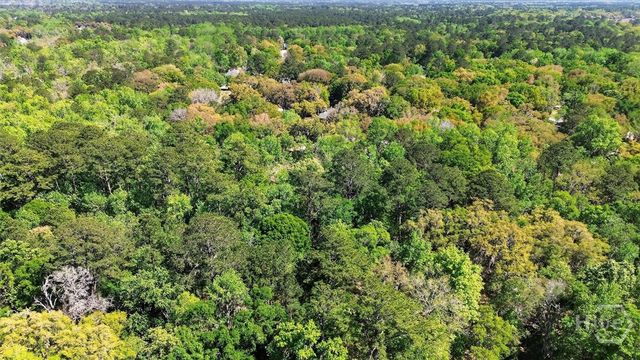 401 Laurenburg Drive, Richmond Hill, GA 31324