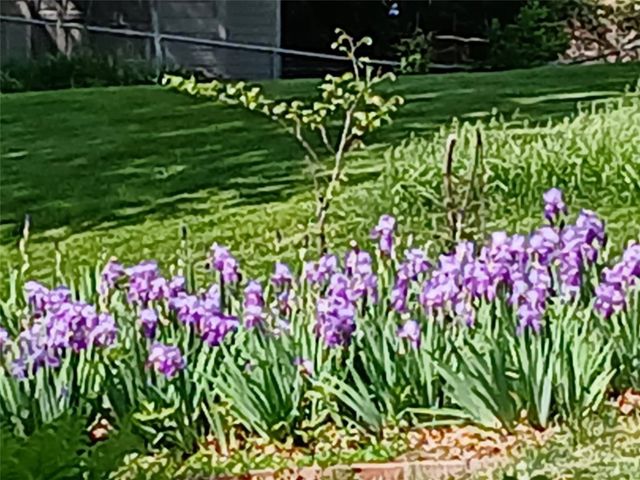 1688 17th Avenue, Marion, IA 52302