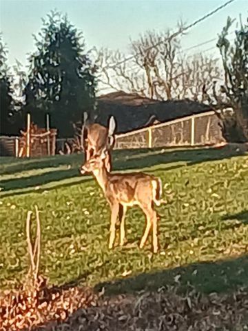 1688 17th Avenue, Marion, IA 52302