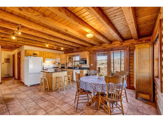 1528 Silverheels Rd, Fairplay, CO 80440