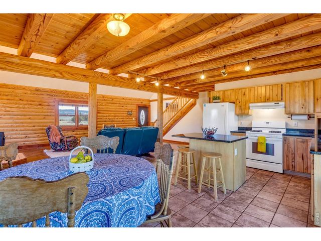 1528 Silverheels Rd, Fairplay, CO 80440