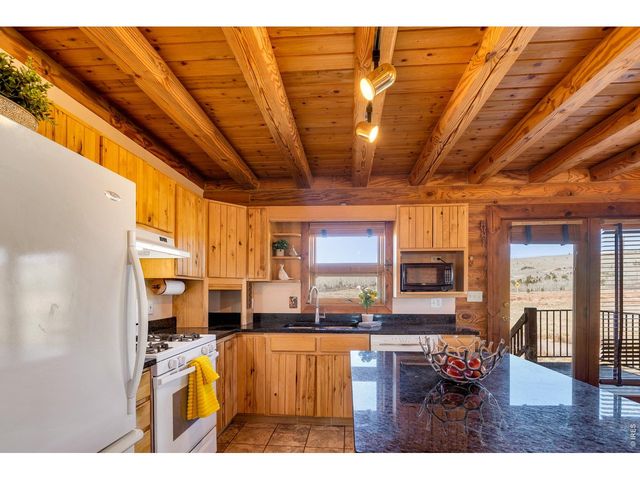 1528 Silverheels Rd, Fairplay, CO 80440