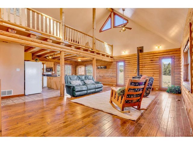 1528 Silverheels Rd, Fairplay, CO 80440