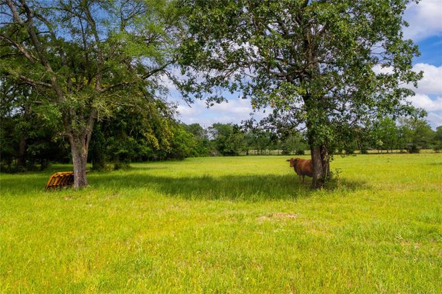 128 Duke Road, Bedias, TX 77831