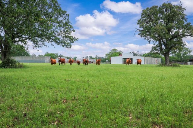 128 Duke Road, Bedias, TX 77831