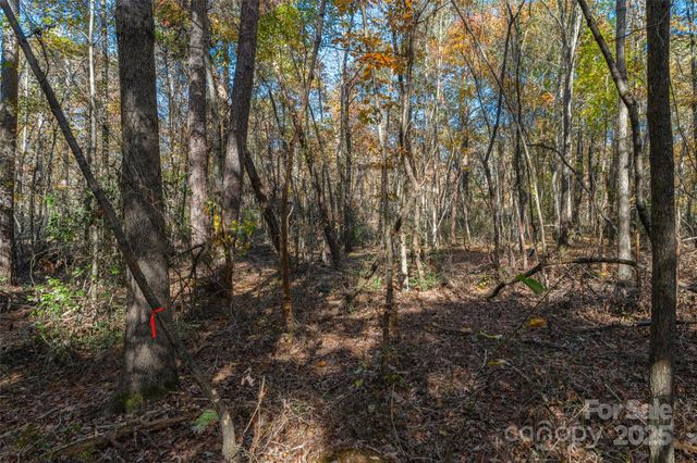 0000 Bud Davis Road 4, Vale, NC 28168