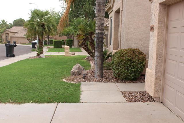 875 W Aloe Place, Chandler, AZ 85248