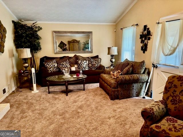 506 Ironwood Court SE, Conyers, GA 30094