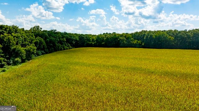 227 Barnes Nursery Road, Bronwood, GA 39826