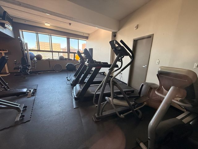 12 Stoneholm St 309, Boston, MA 02215