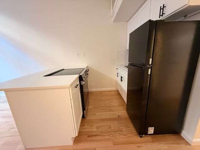 12 Stoneholm St 309, Boston, MA 02215