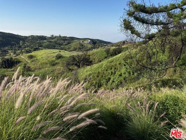 2566 Tuna Canyon Road, Topanga (los Angeles), CA 90290