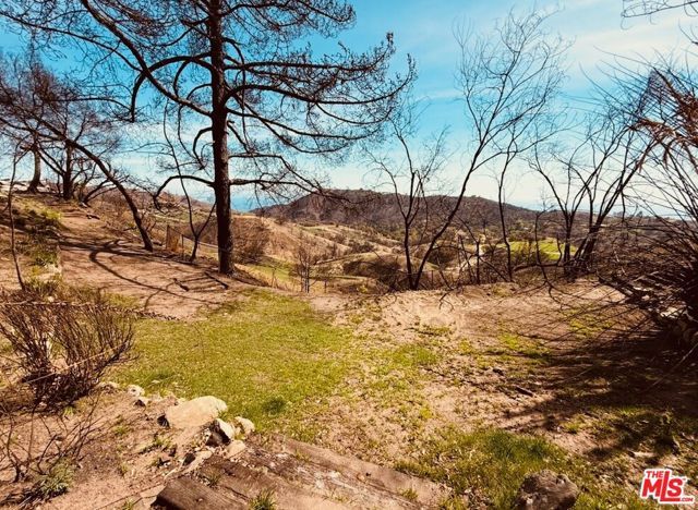 2566 Tuna Canyon Road, Topanga (los Angeles), CA 90290