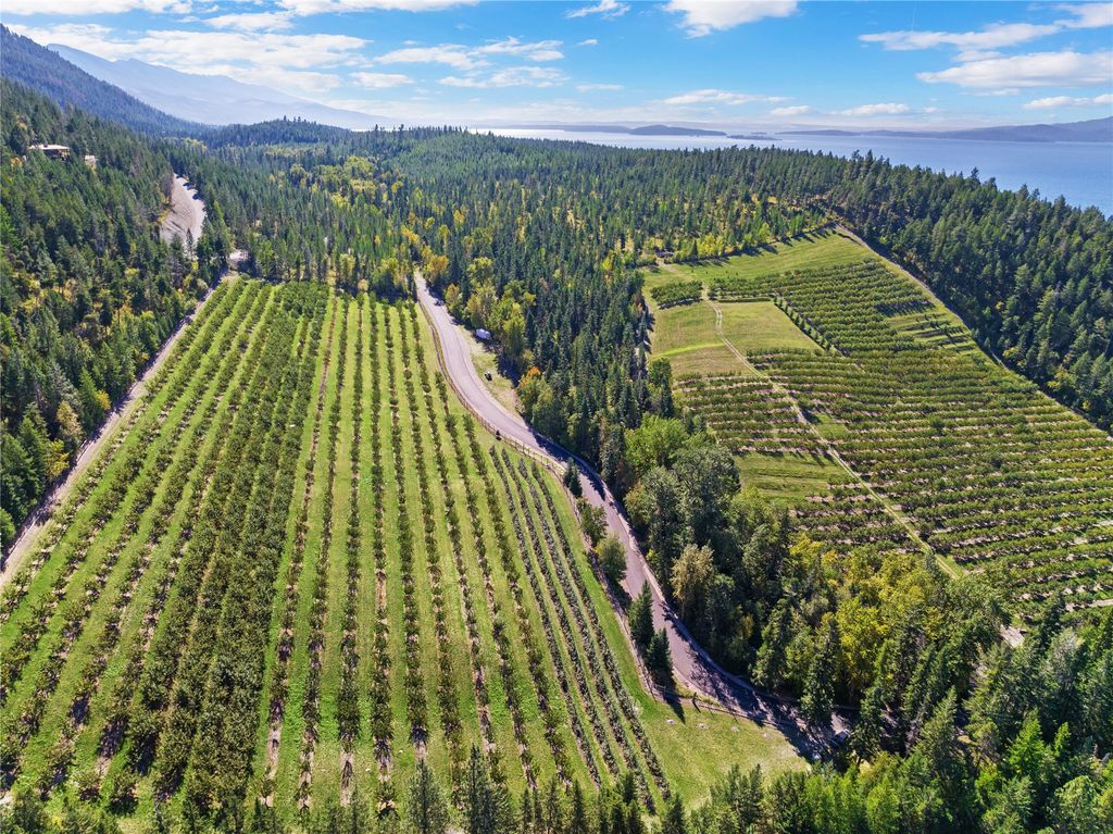 31572 Lake To Sky Drive, Bigfork, MT 59911 photo 113