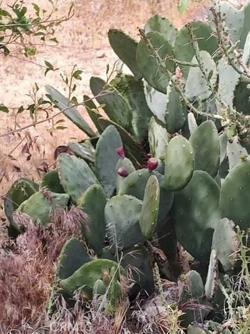 10376 55th Street, Mojave, CA 93501