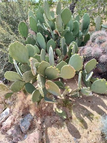 10376 55th Street, Mojave, CA 93501