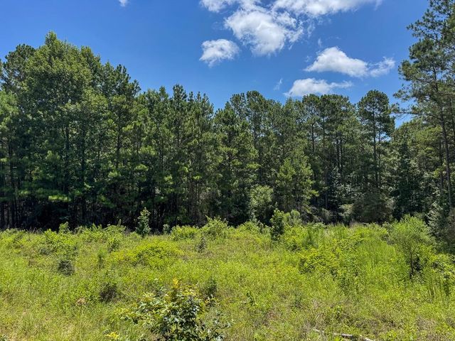 00 Fm 946, Oakhurst, TX 77359