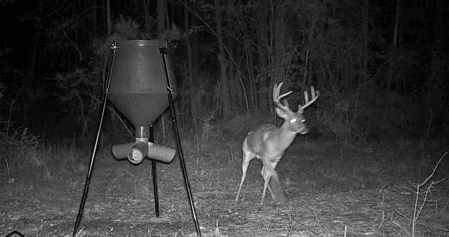 00 Fm 946, Oakhurst, TX 77359
