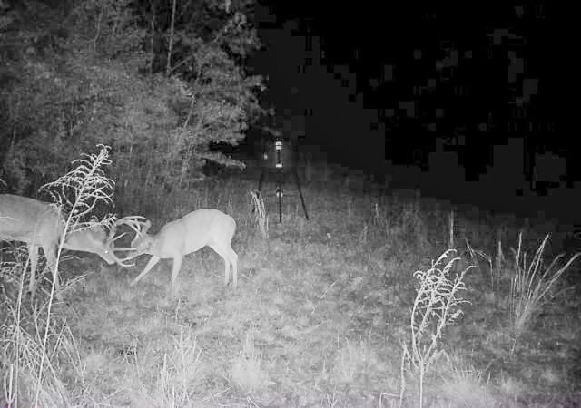 00 Fm 946, Oakhurst, TX 77359
