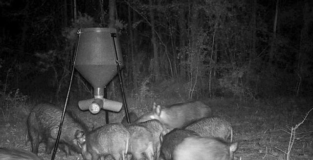 00 Fm 946, Oakhurst, TX 77359