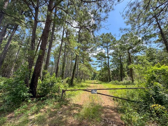 00 Fm 946, Oakhurst, TX 77359