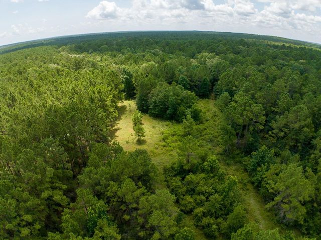 00 Fm 946, Oakhurst, TX 77359