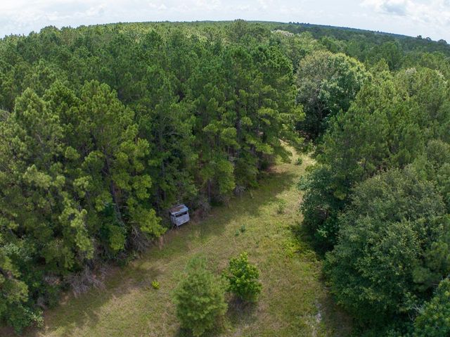 00 Fm 946, Oakhurst, TX 77359