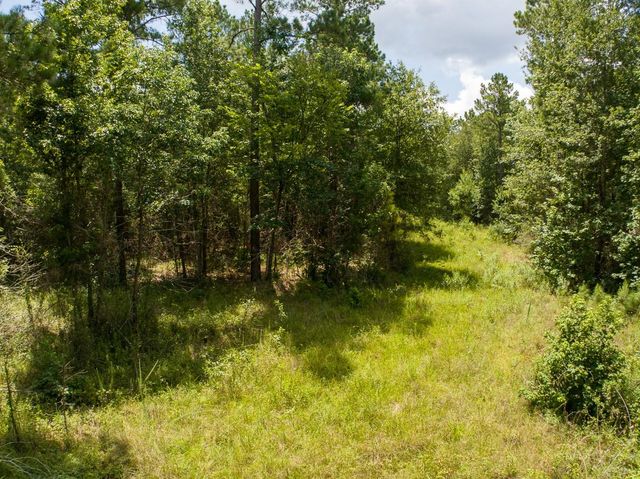 00 Fm 946, Oakhurst, TX 77359