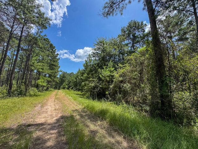 00 Fm 946, Oakhurst, TX 77359